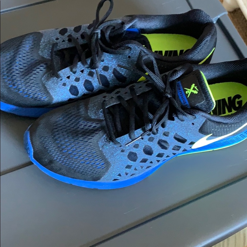 Air Pegasus 31